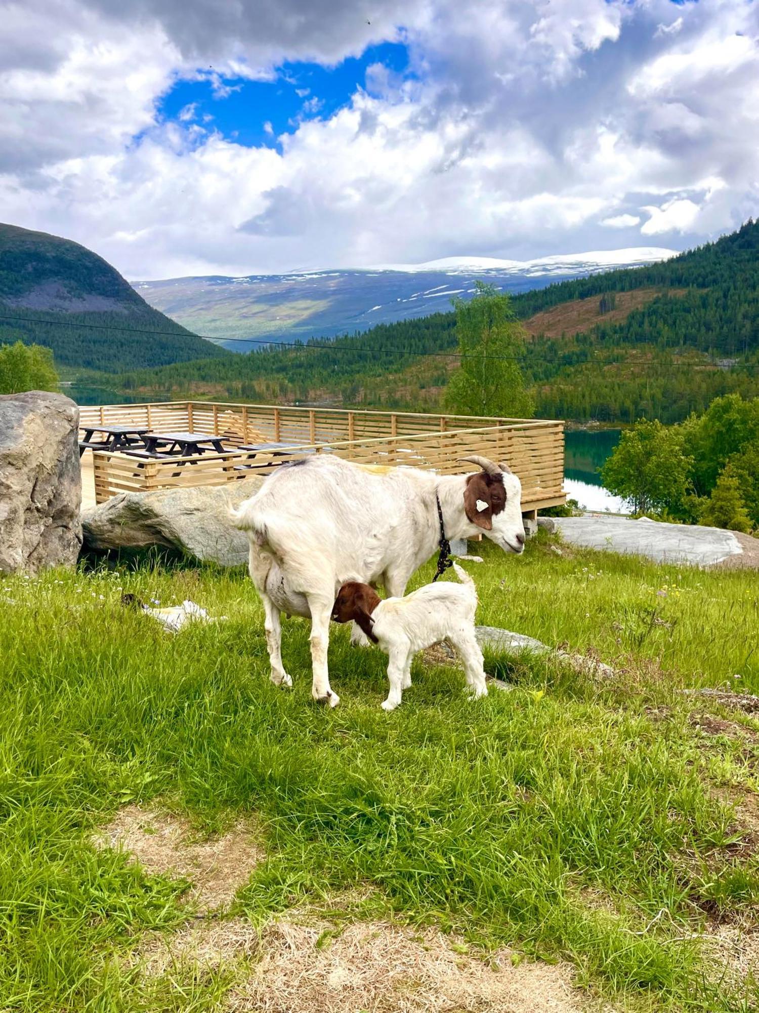 Reinheimen Lodge Skjak Luaran gambar